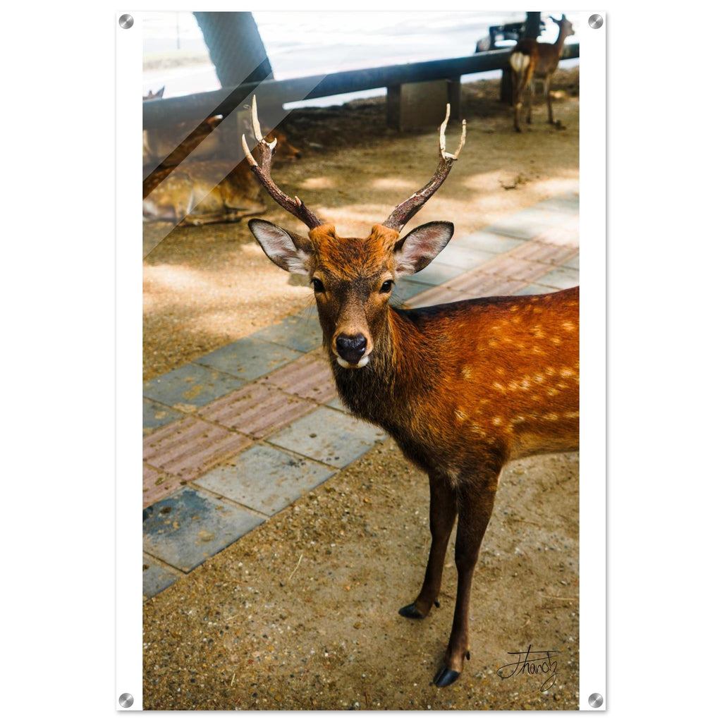 b0ed1b87-9d45-46bb-819a-93ea3b33358f