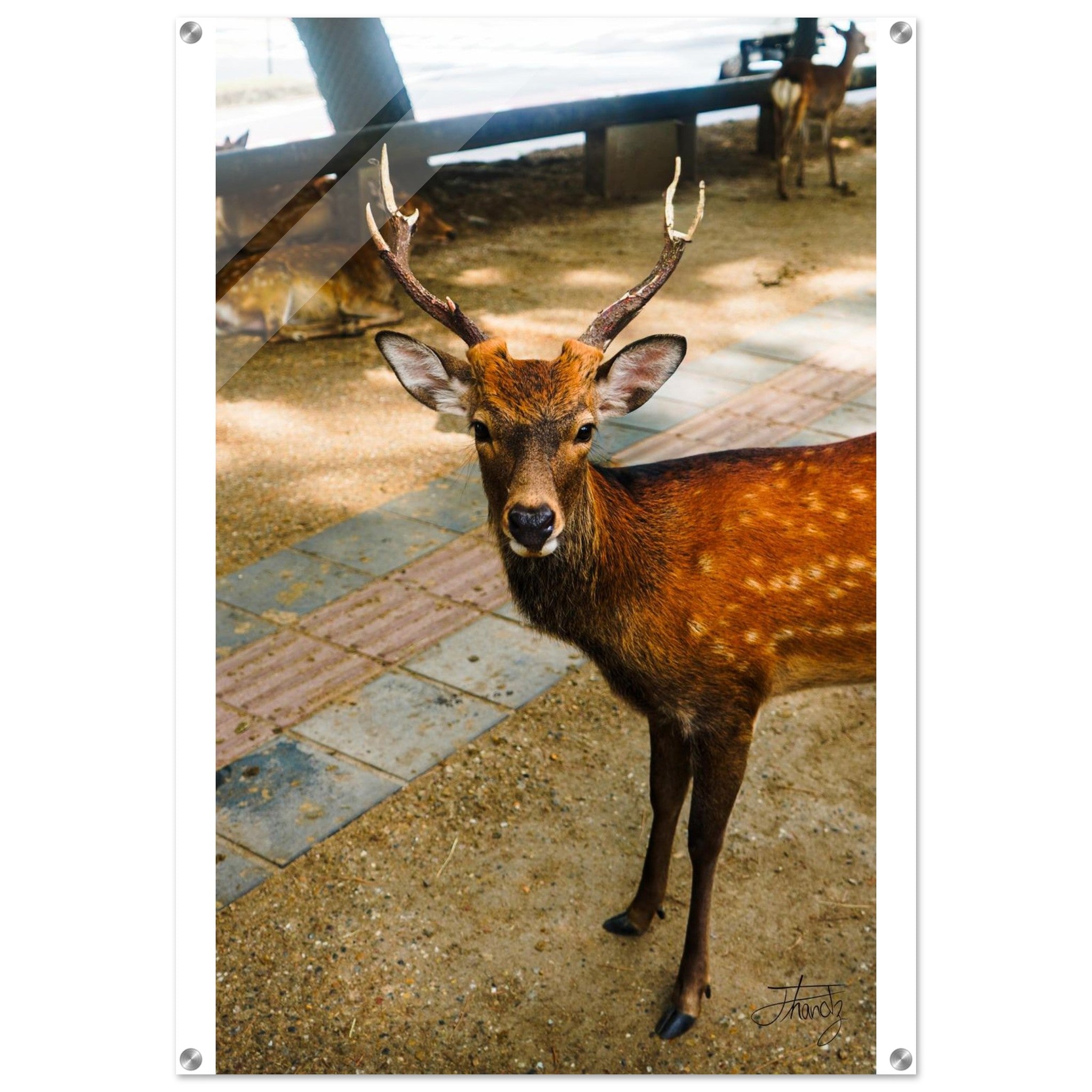 b0ed1b87-9d45-46bb-819a-93ea3b33358f