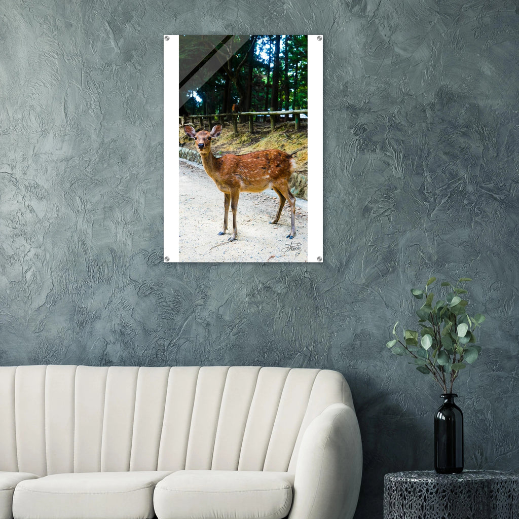 b3f0146d-2b31-4b83-aaf0-6ca246be0369