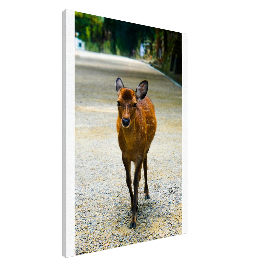 b49f5260-b0d1-4546-a94f-2958943703fd