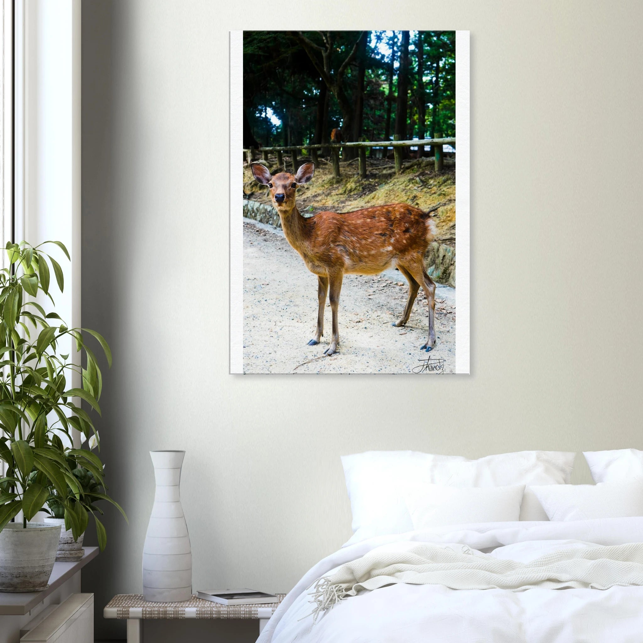 b65845f1-a525-4b03-ab11-9473d5cf4d01