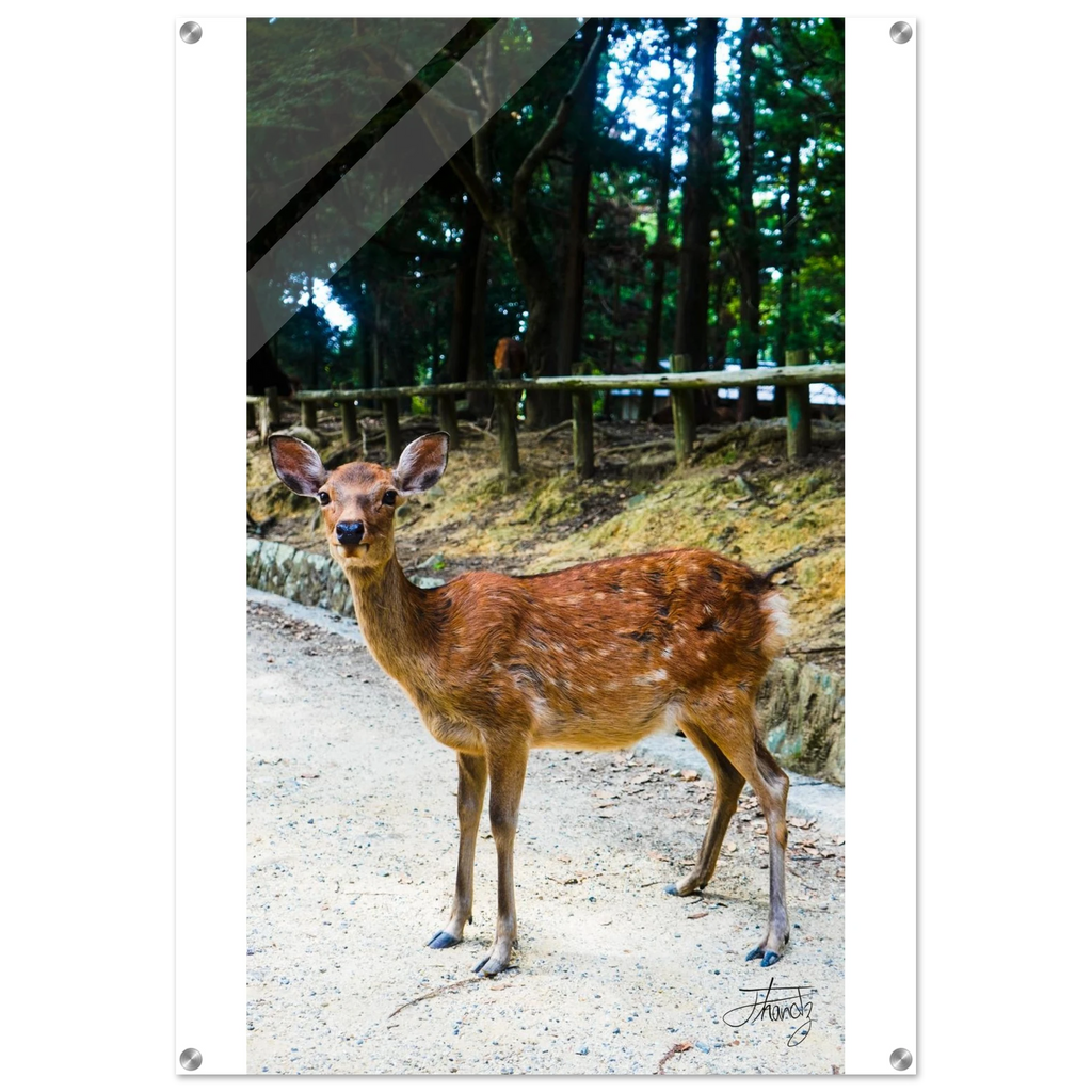 b6cabb3b-4271-488b-9c64-49c95c6c1d57