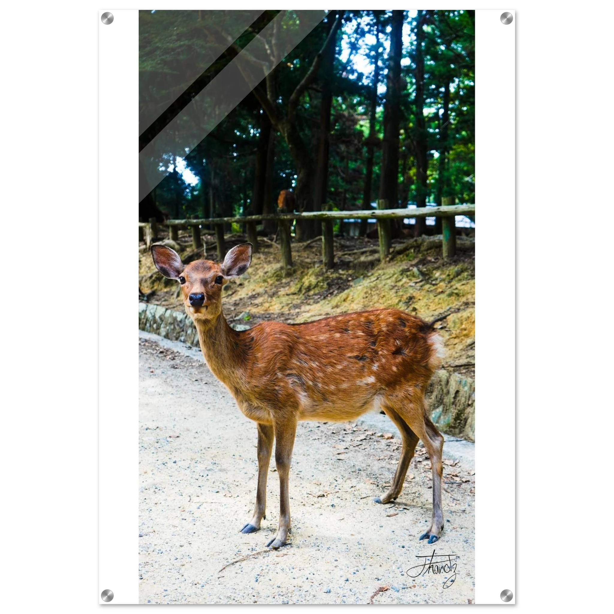 b6cabb3b-4271-488b-9c64-49c95c6c1d57