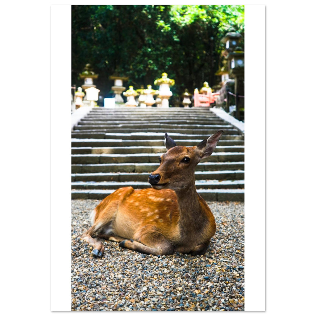 baddb28c-e59a-4412-8c9f-4294709b573f