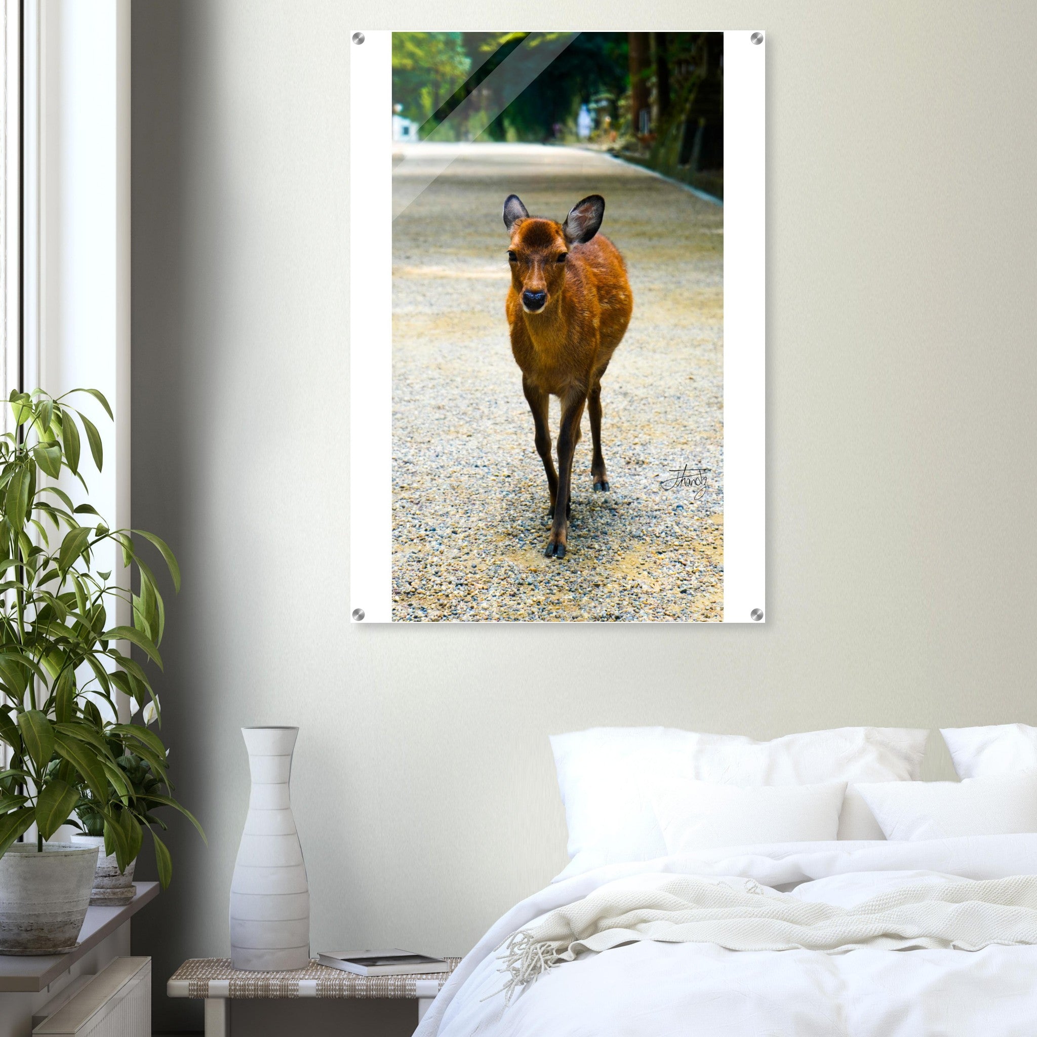 bb2f3215-b0bb-49bf-85dc-67b39a3eecaa