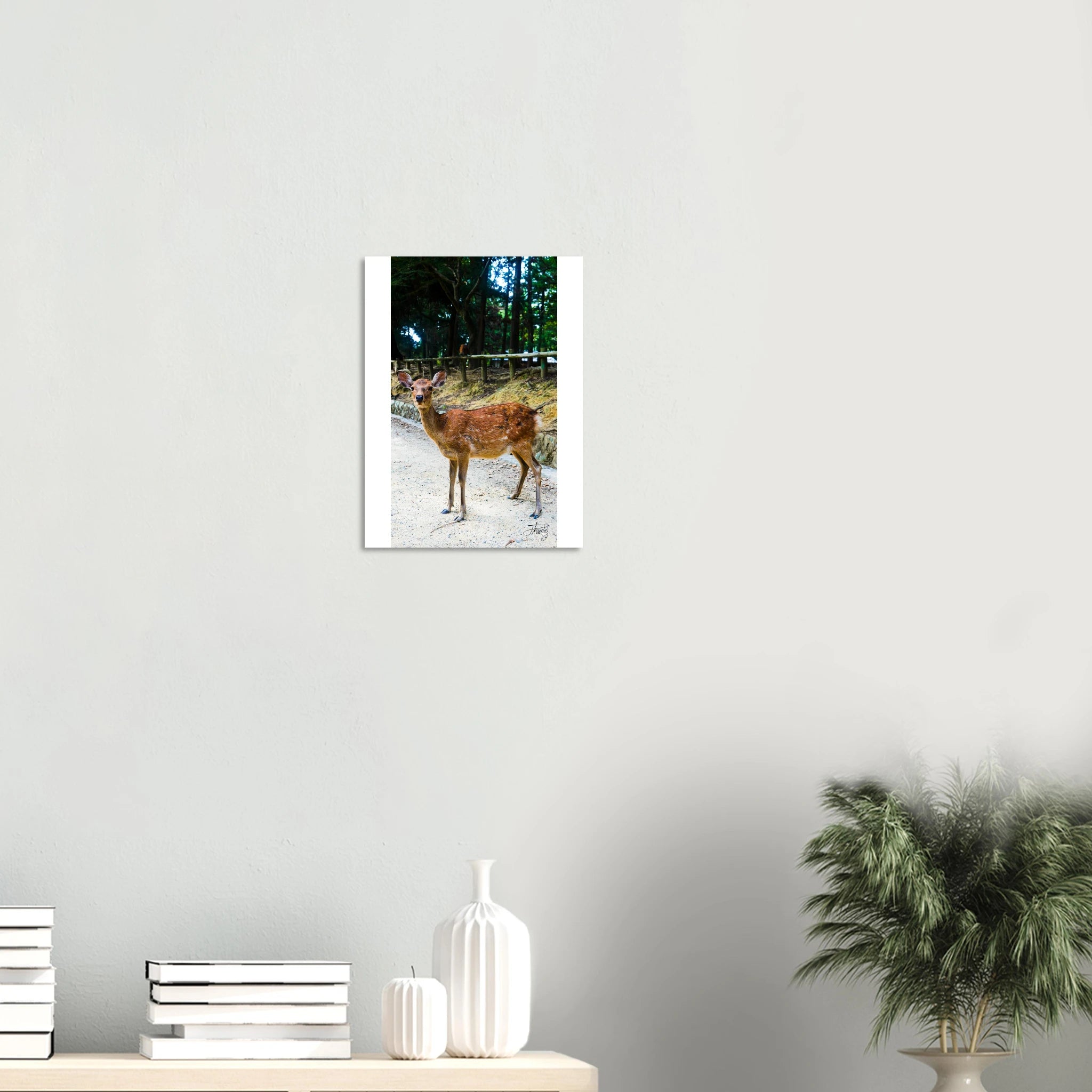 bb5b8528-3079-4de3-b32a-f8700969e572