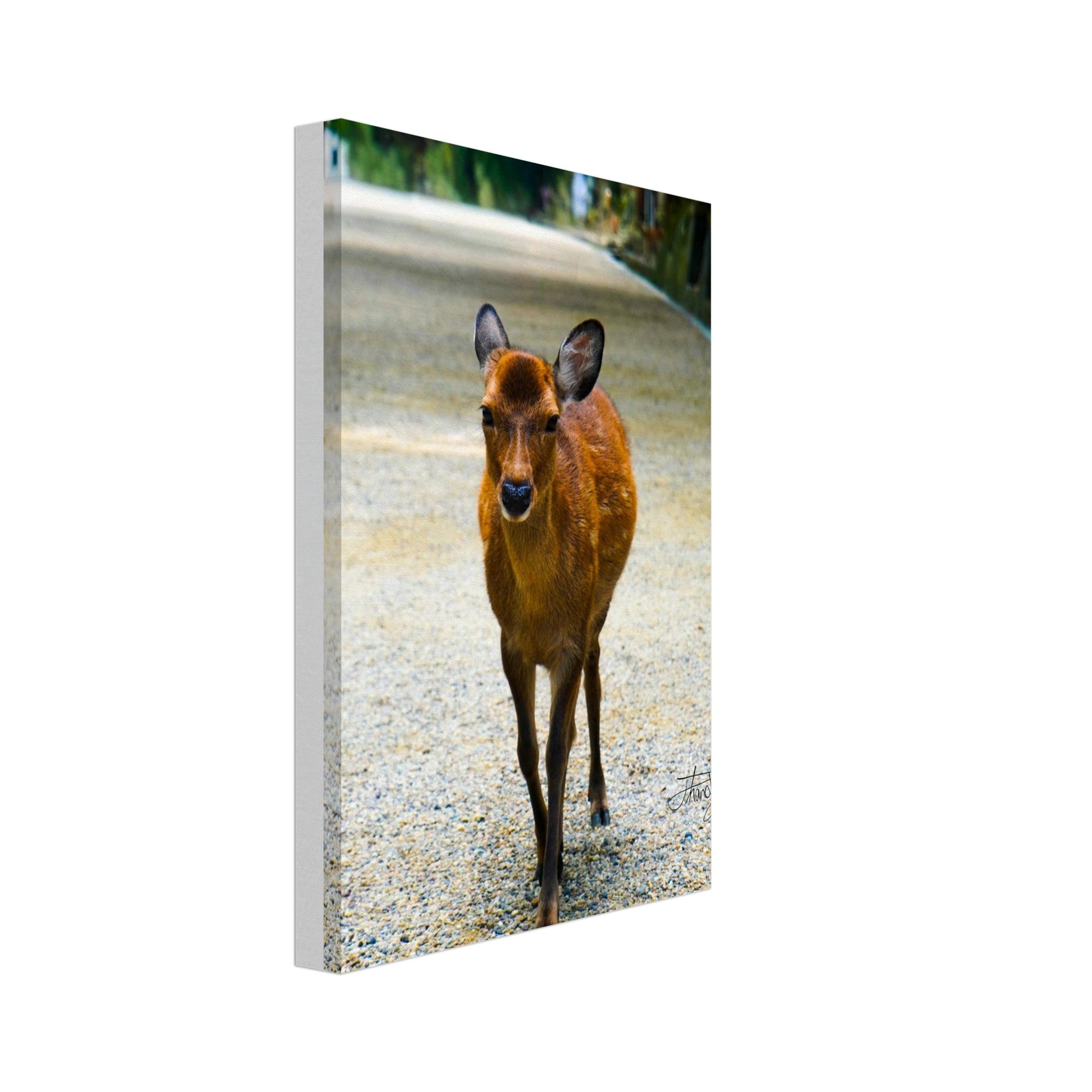 bb9bb0bb-b2c2-4e96-adca-c2ee7d34896c