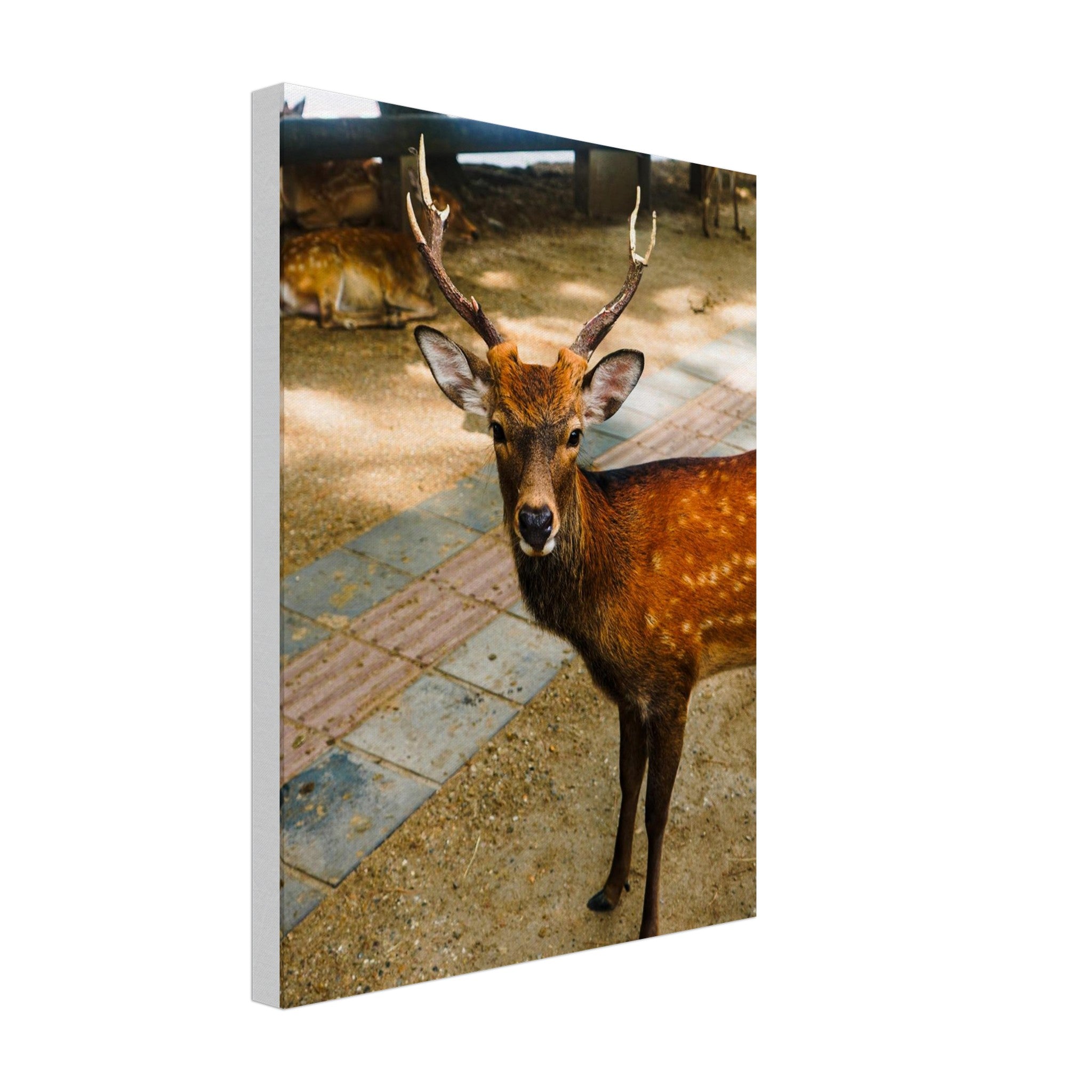 bc50b3da-b898-436b-a830-fa15aa02d4c1