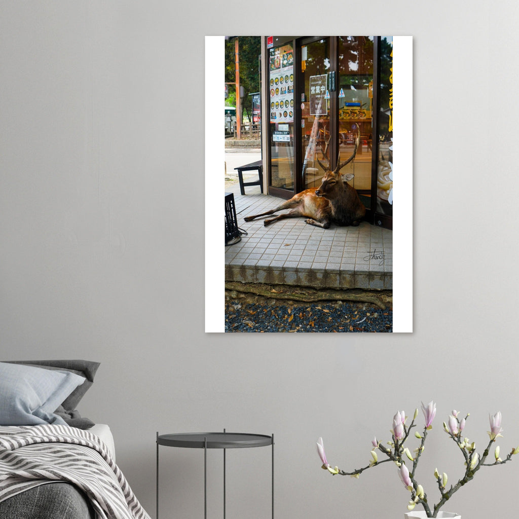 bd8f8186-52bf-4c3c-80bb-e3697a5515d6