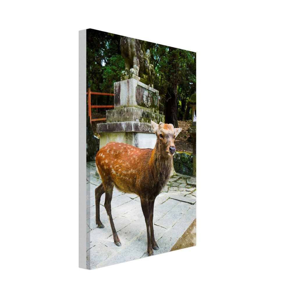 bf5777ba-6941-4b79-932d-8cb75856f397