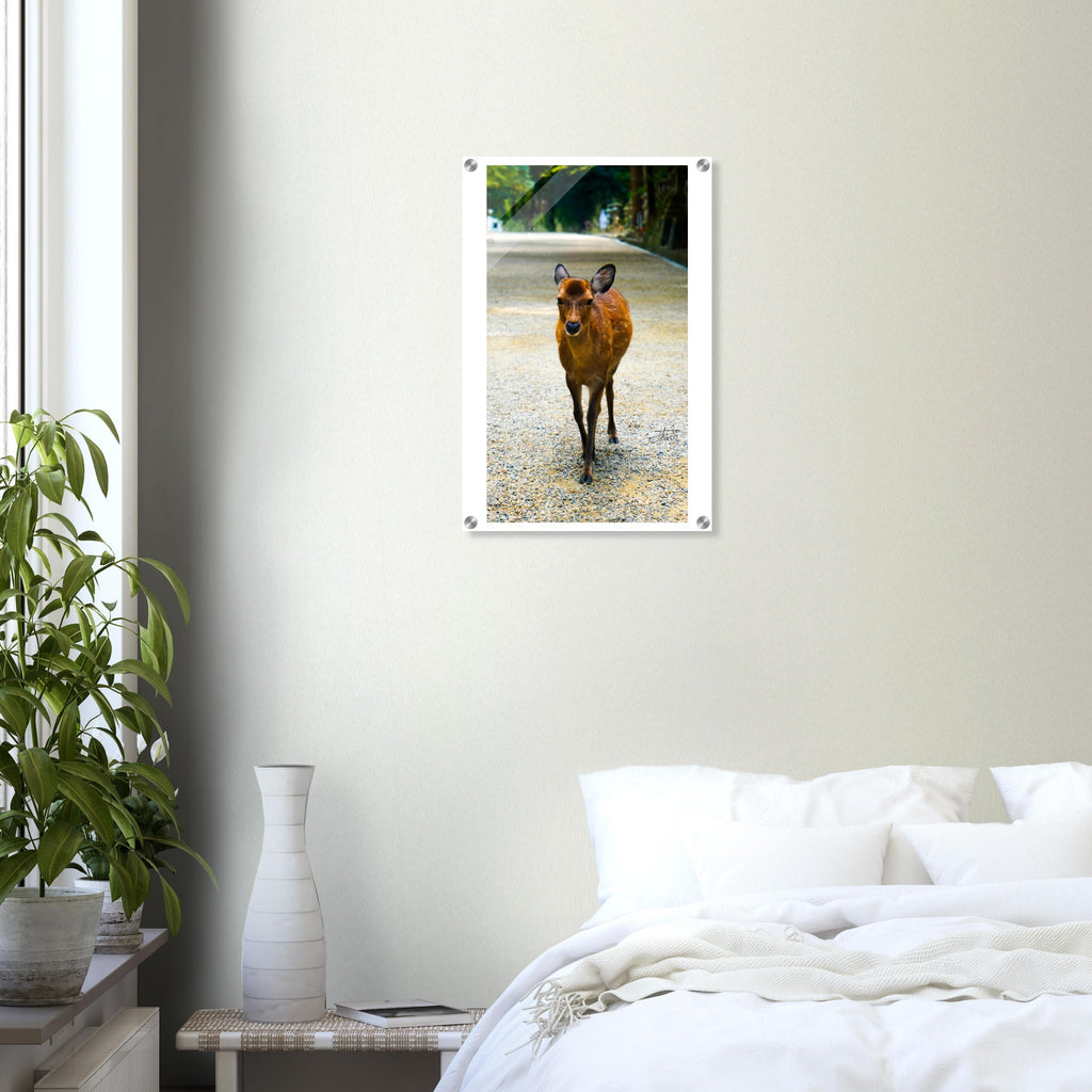 c1155d72-e92a-484b-ae70-f7f3406f80f4