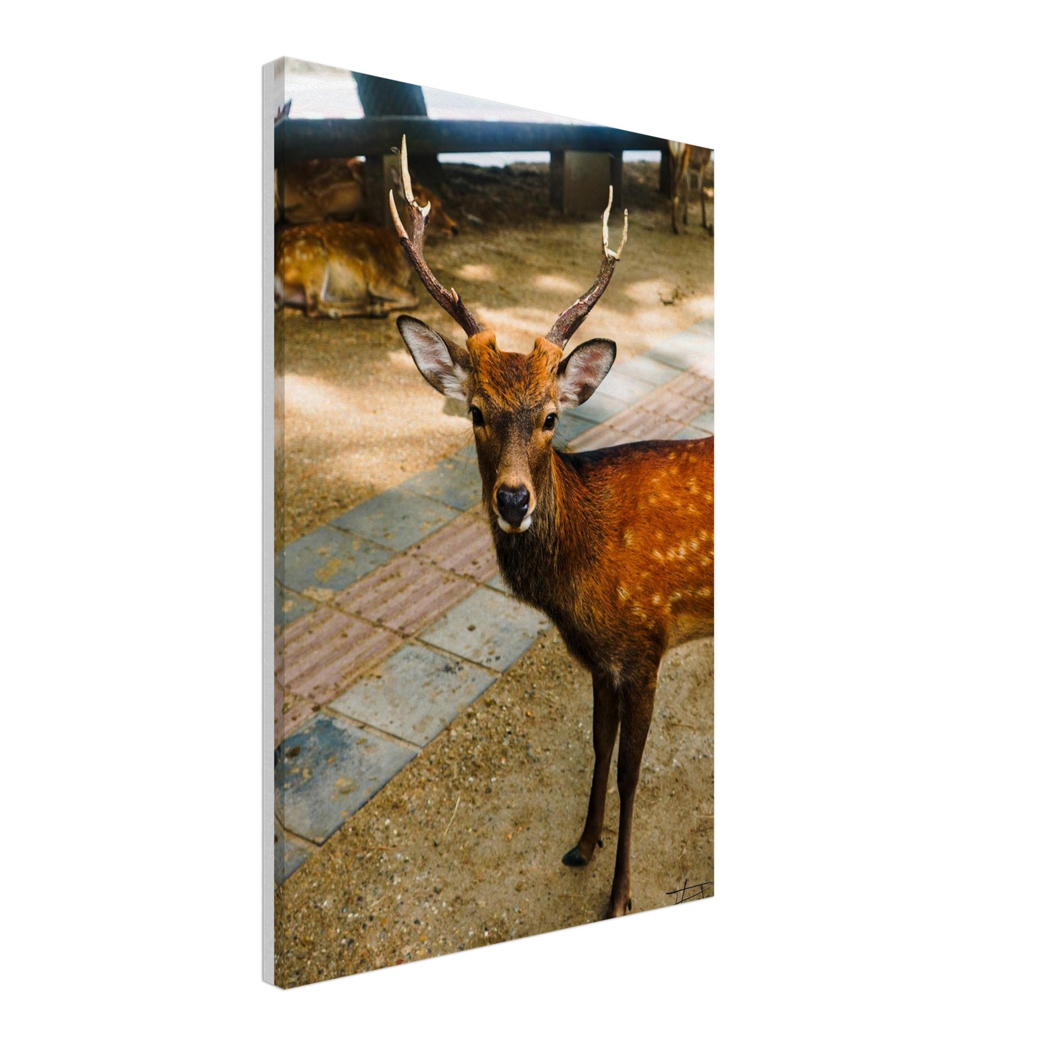 c131b542-528c-4c42-9487-d4817216414c