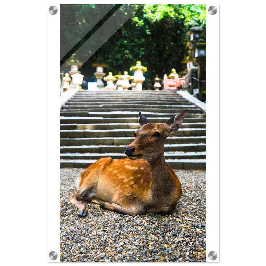 c1c60e67-bc89-4854-8b3d-5980ba80376a