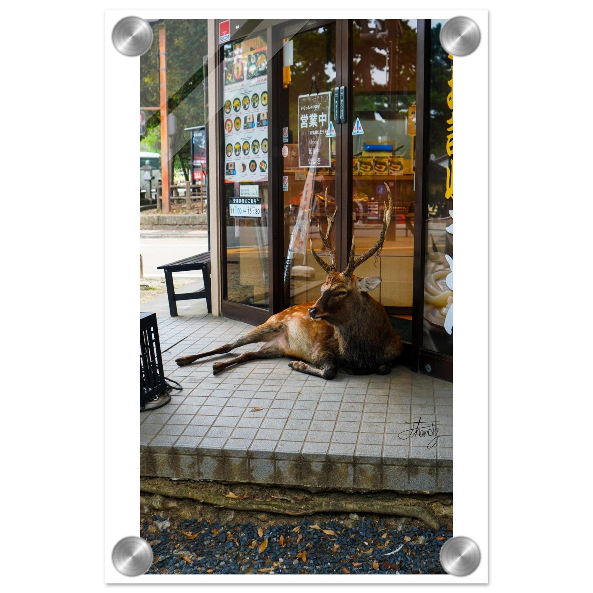 c4c28d78-6d24-4e8f-a348-0b87787a4b76