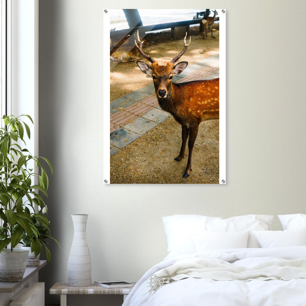 c7c9b2ef-176c-424b-94a5-36b8c633487e