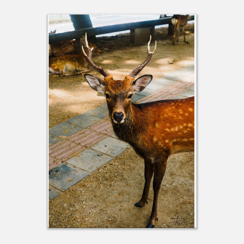 ca112efa-c2a9-44e7-9e30-bea82bec06a8