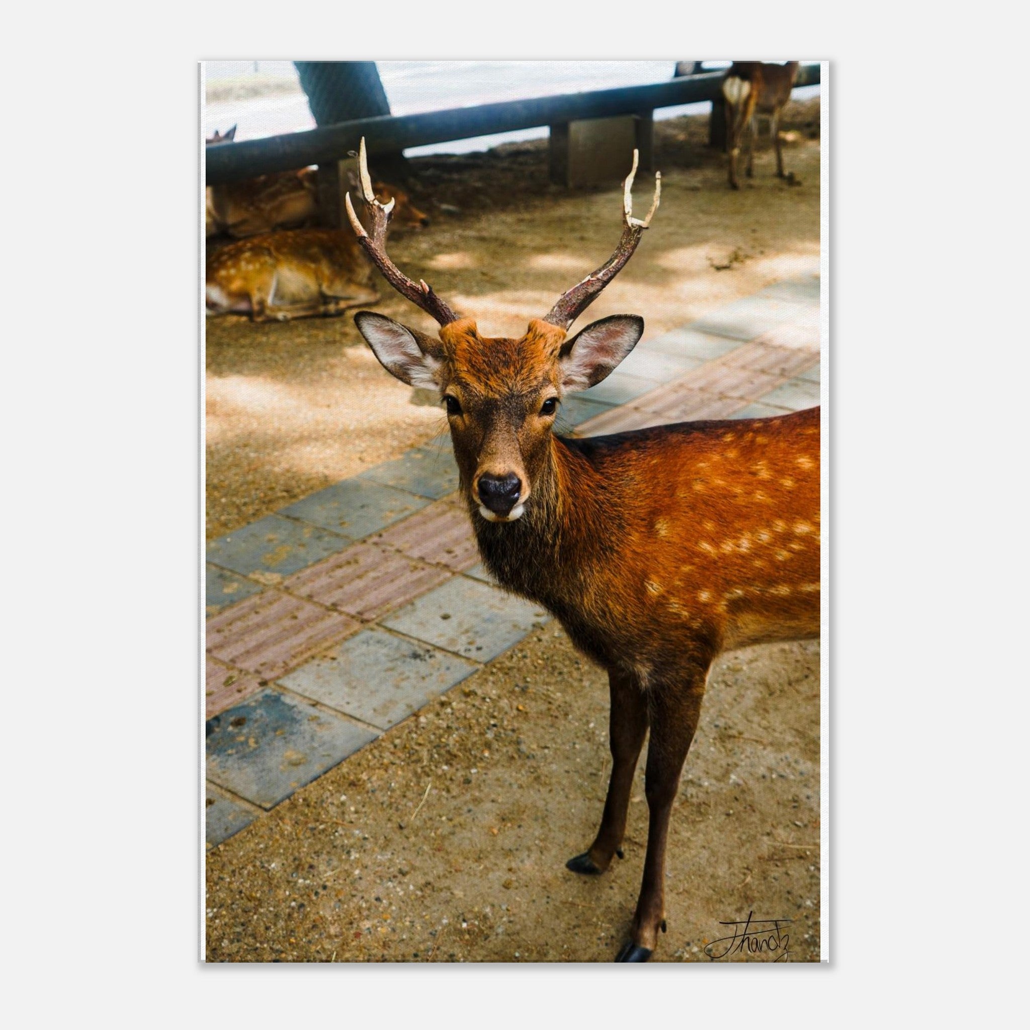 ca112efa-c2a9-44e7-9e30-bea82bec06a8