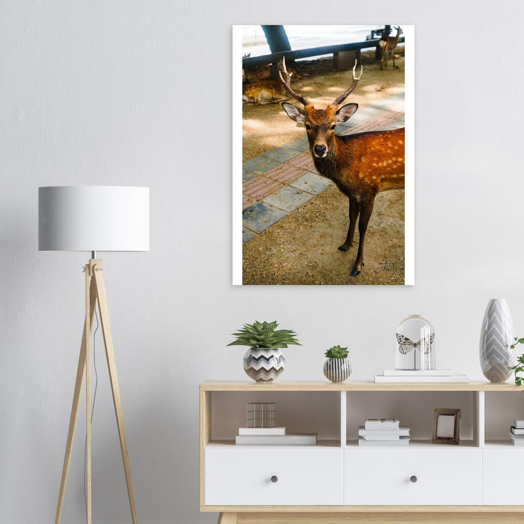 ca249e12-7760-4760-8c21-e245255e8749