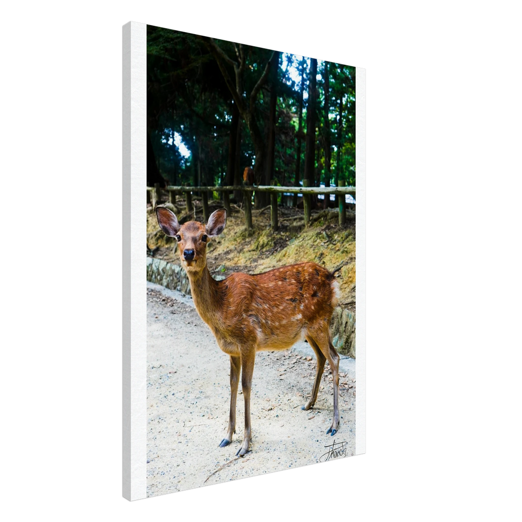 cac54aef-30e5-47a4-8ca8-570d55b7ab72