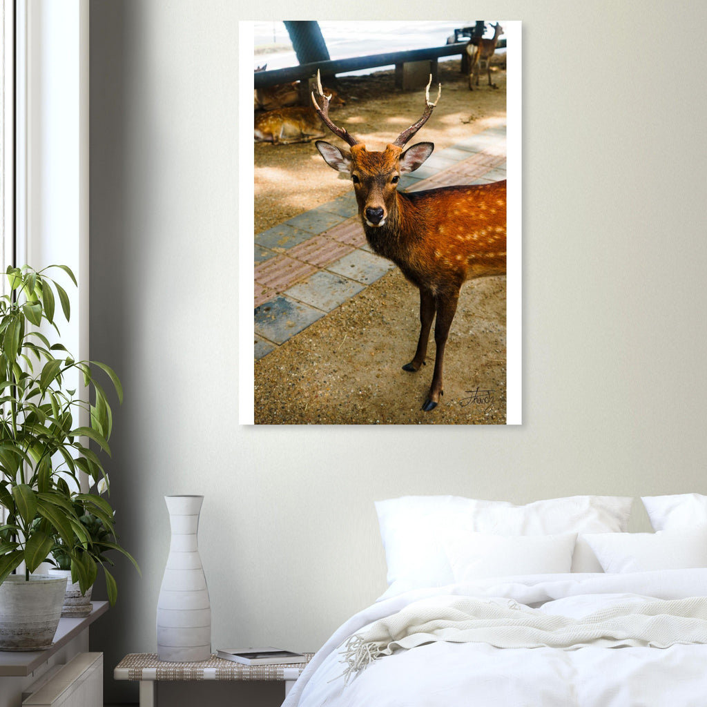 cc57fa25-a6c0-44d6-87c5-b5724263f3ad