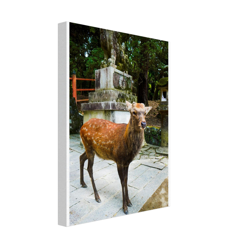 d0f0fc44-797b-4ff0-b21e-c7d0ef32f093