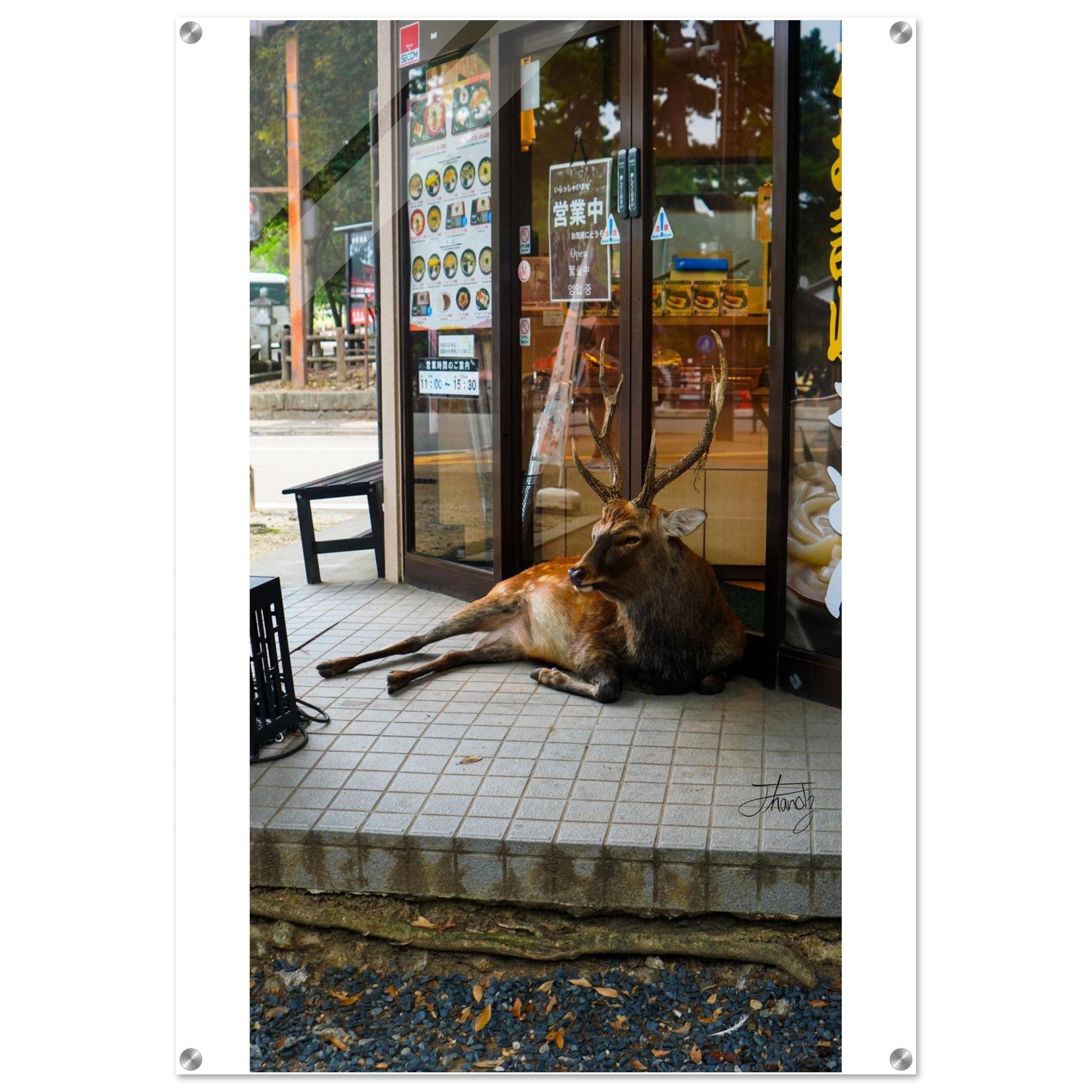 d2b10074-2dfc-40d3-aec5-154410f646b0