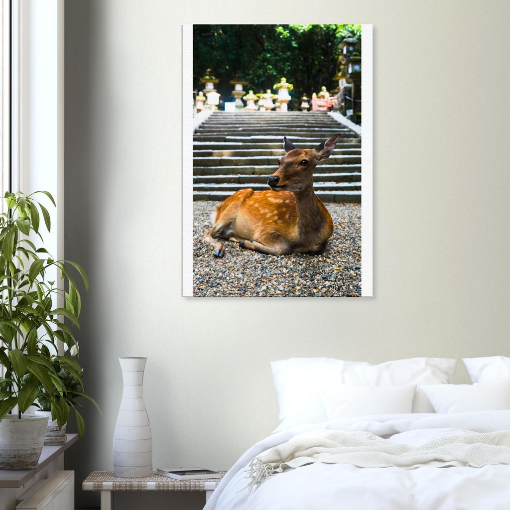 d4a2e65f-f9b6-450f-9ba0-27dd9959509b