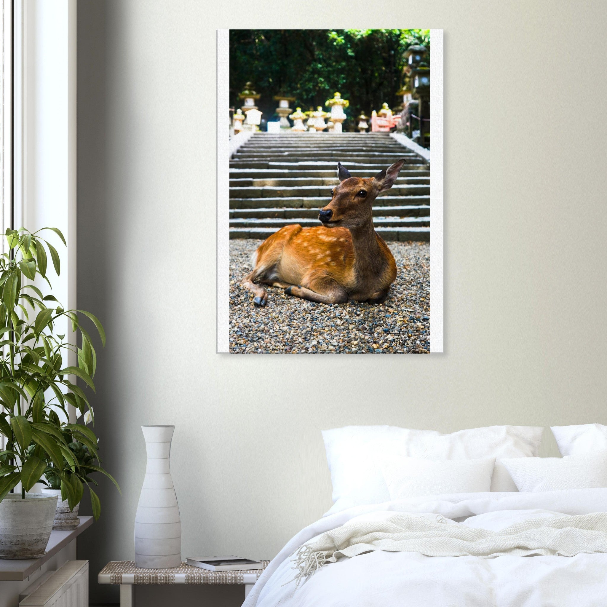 d4a2e65f-f9b6-450f-9ba0-27dd9959509b