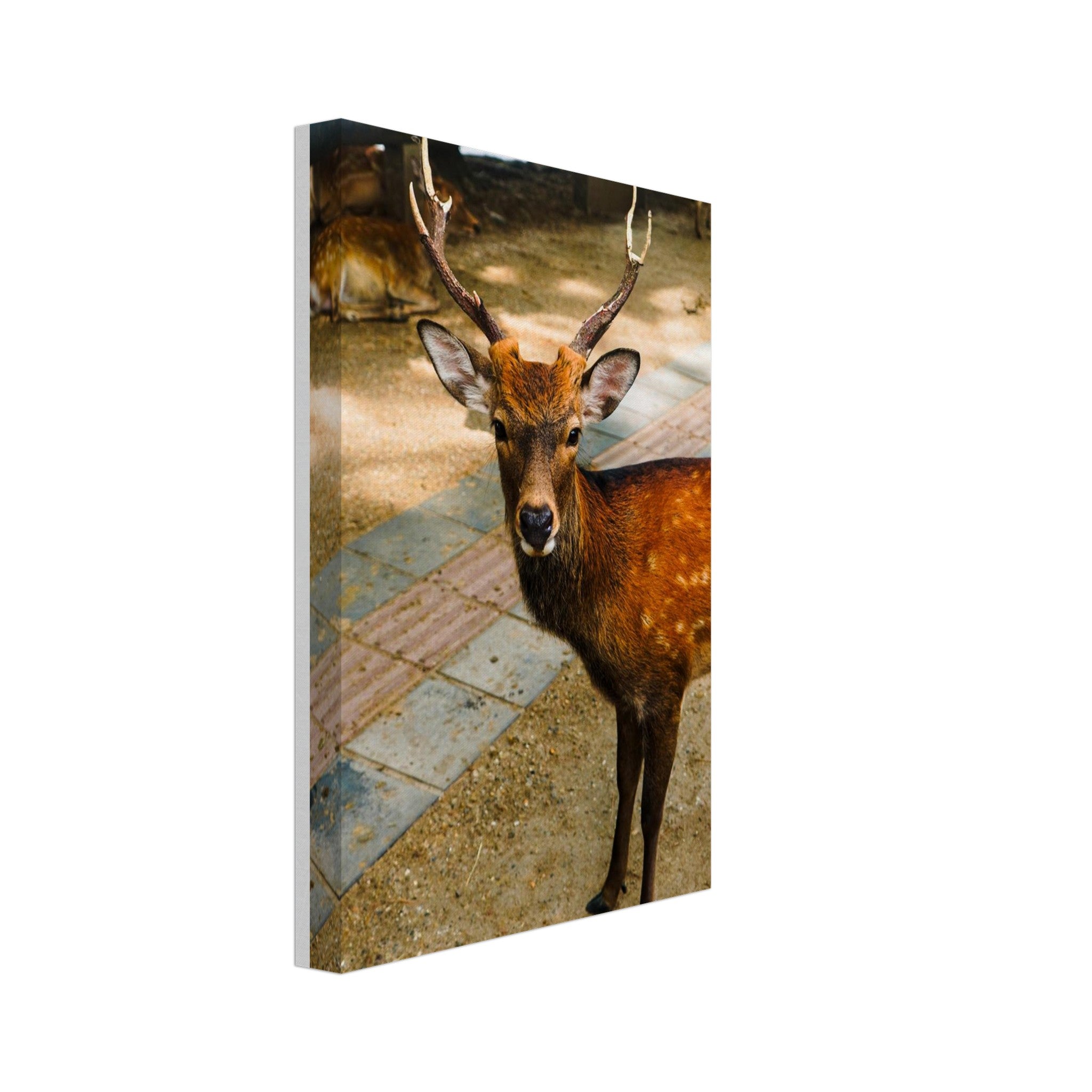 d4ae0258-6d92-4598-8699-7d8594e5809d