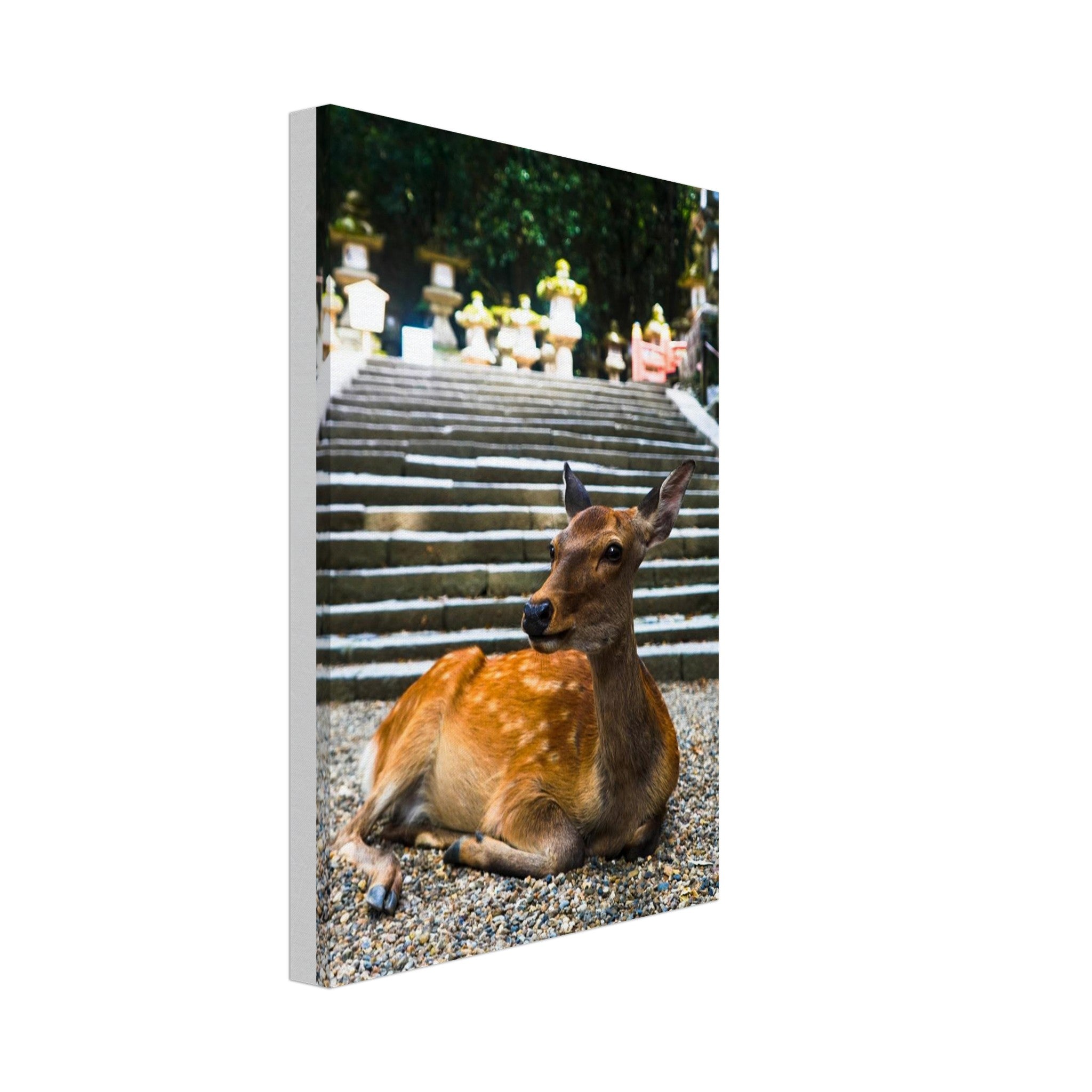 d69c0cc0-077b-4471-97f7-fcab3cc2ba8d