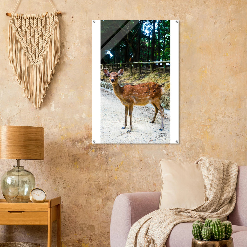 db25ad39-da5a-413e-a977-ff00f8f3f844