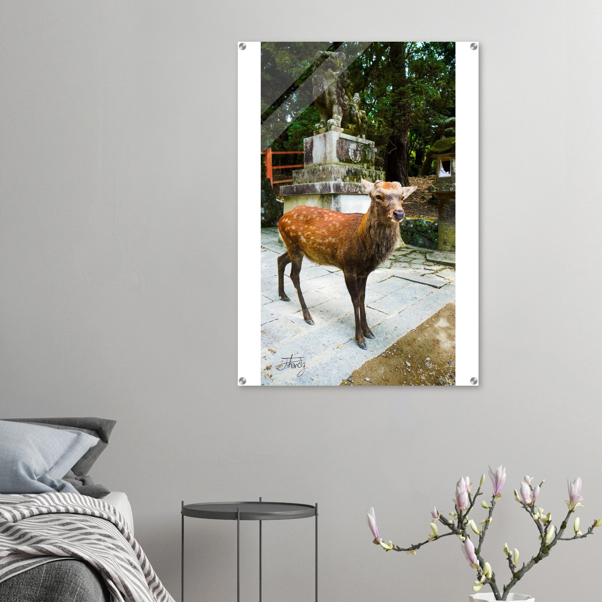 e054e2fb-42e9-42c5-a32d-54834f63ae14