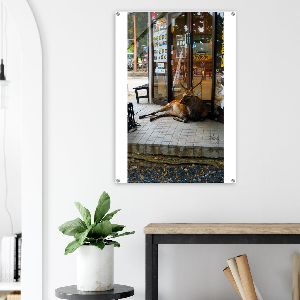 e14ffdef-4e82-451b-897e-9959be03762a