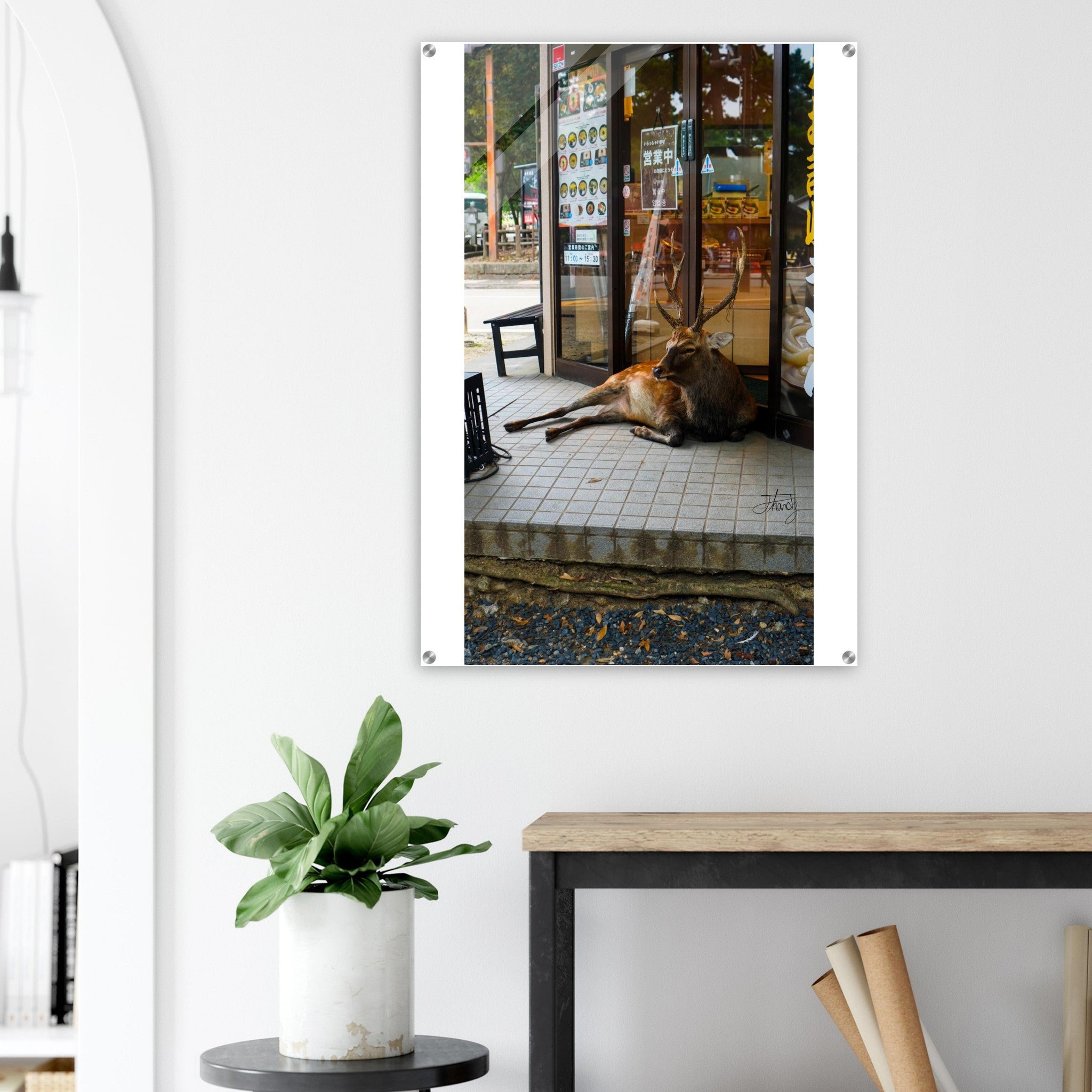 e14ffdef-4e82-451b-897e-9959be03762a