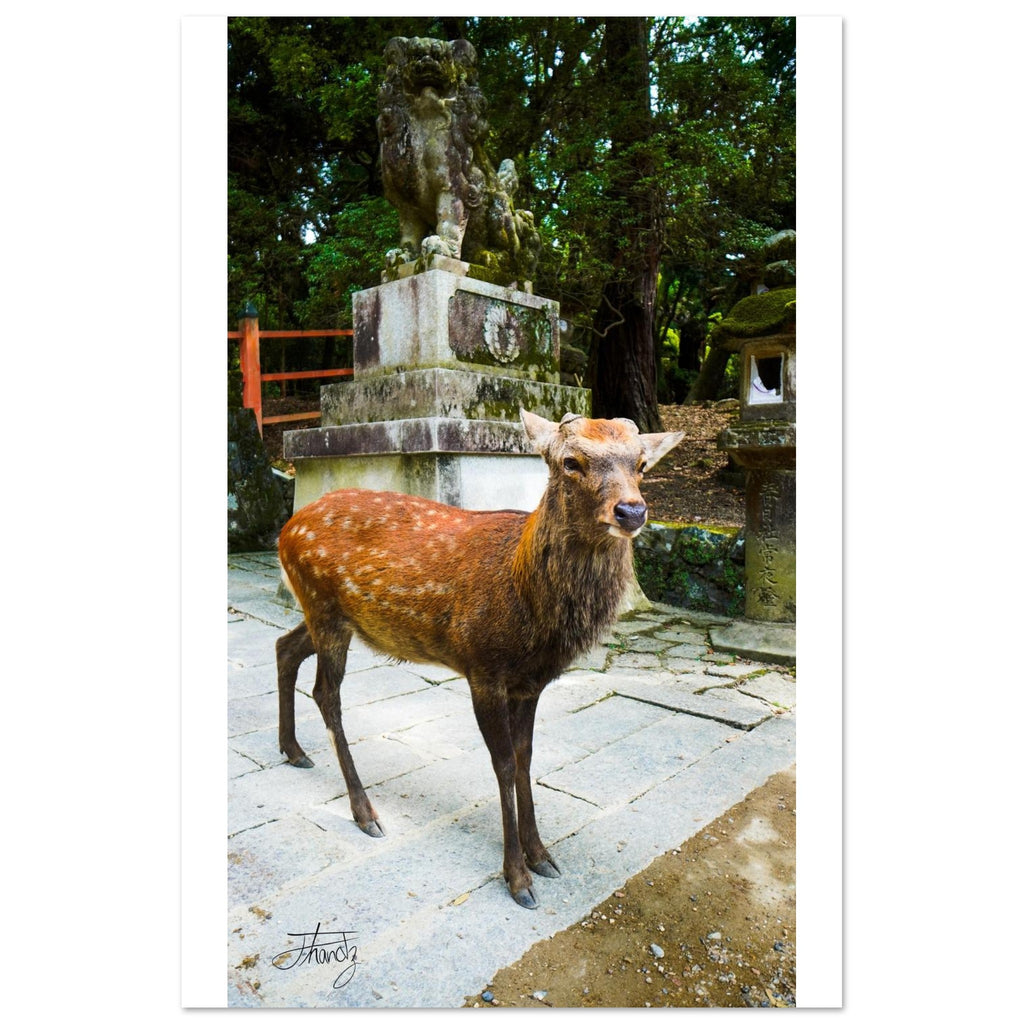 e3718835-c79a-40f6-836c-460f964d8bc5