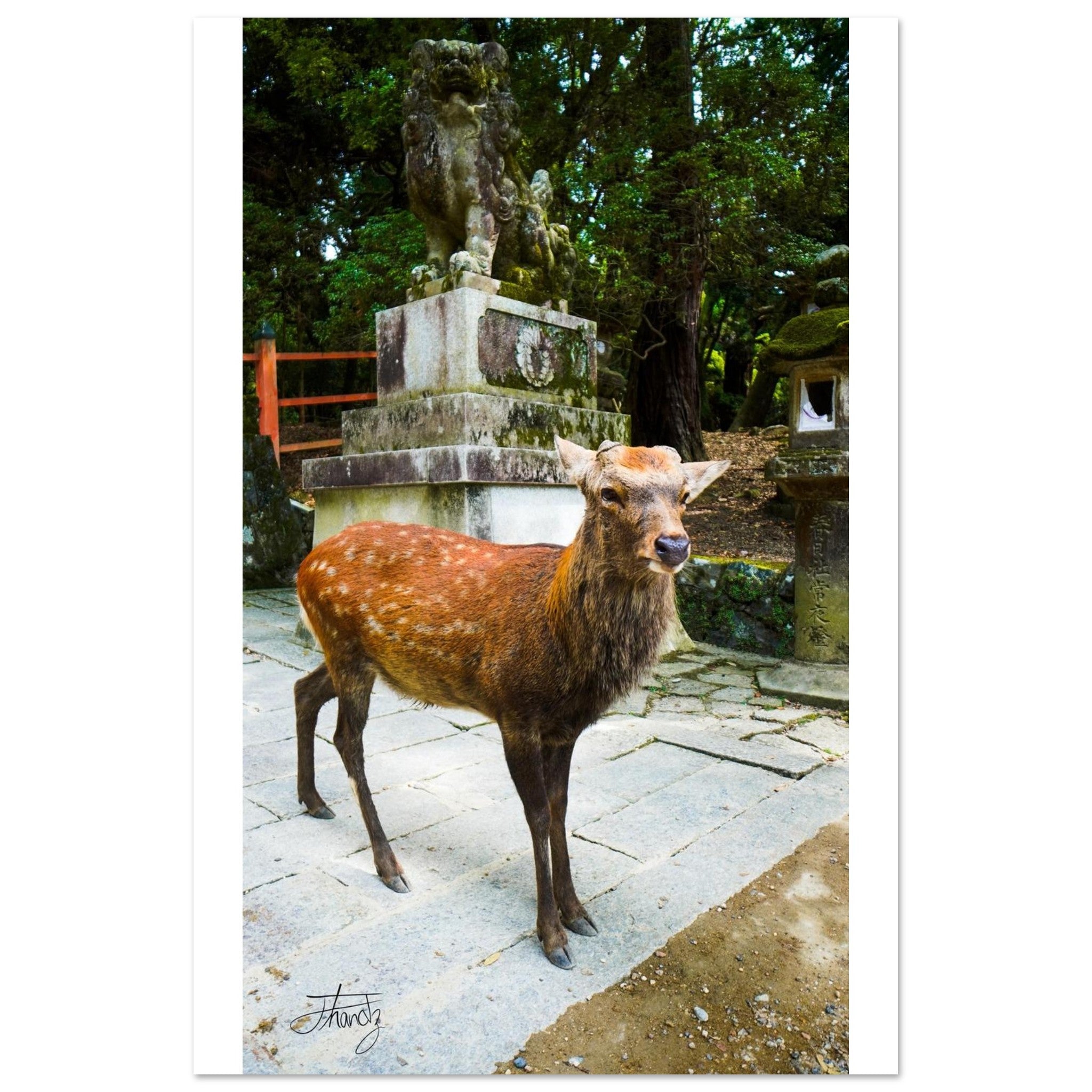 e3718835-c79a-40f6-836c-460f964d8bc5