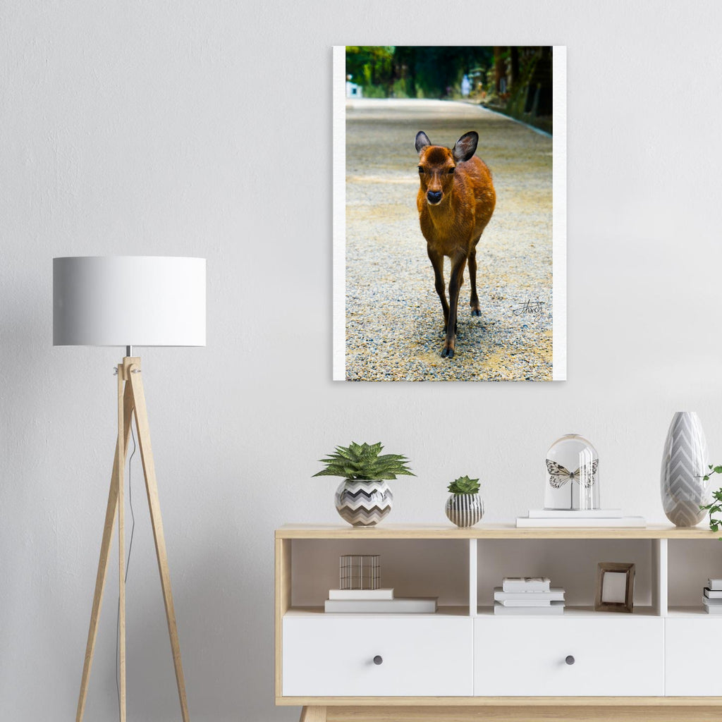 e45563ff-6f94-456f-8c2b-570c3dfe08b1