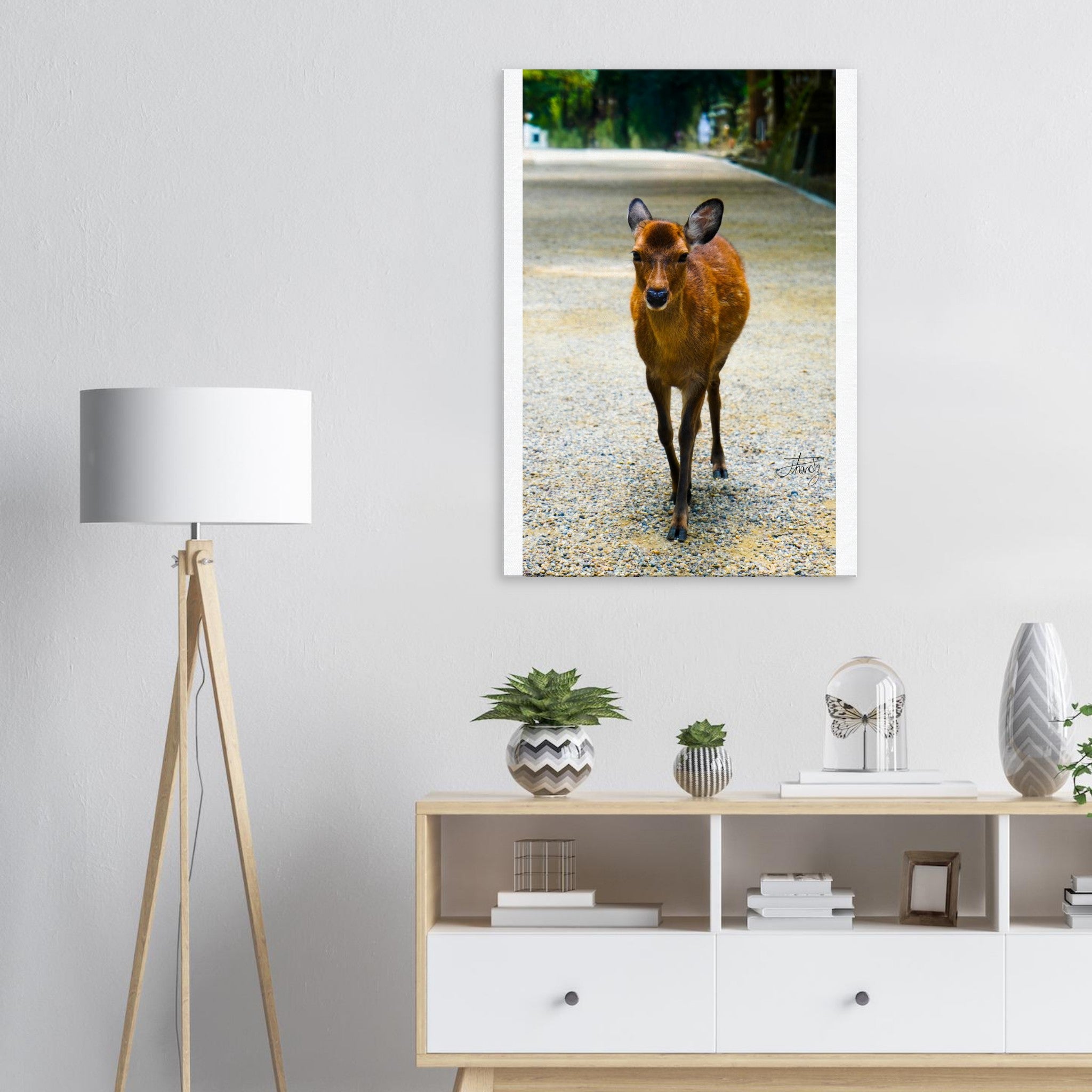 e45563ff-6f94-456f-8c2b-570c3dfe08b1