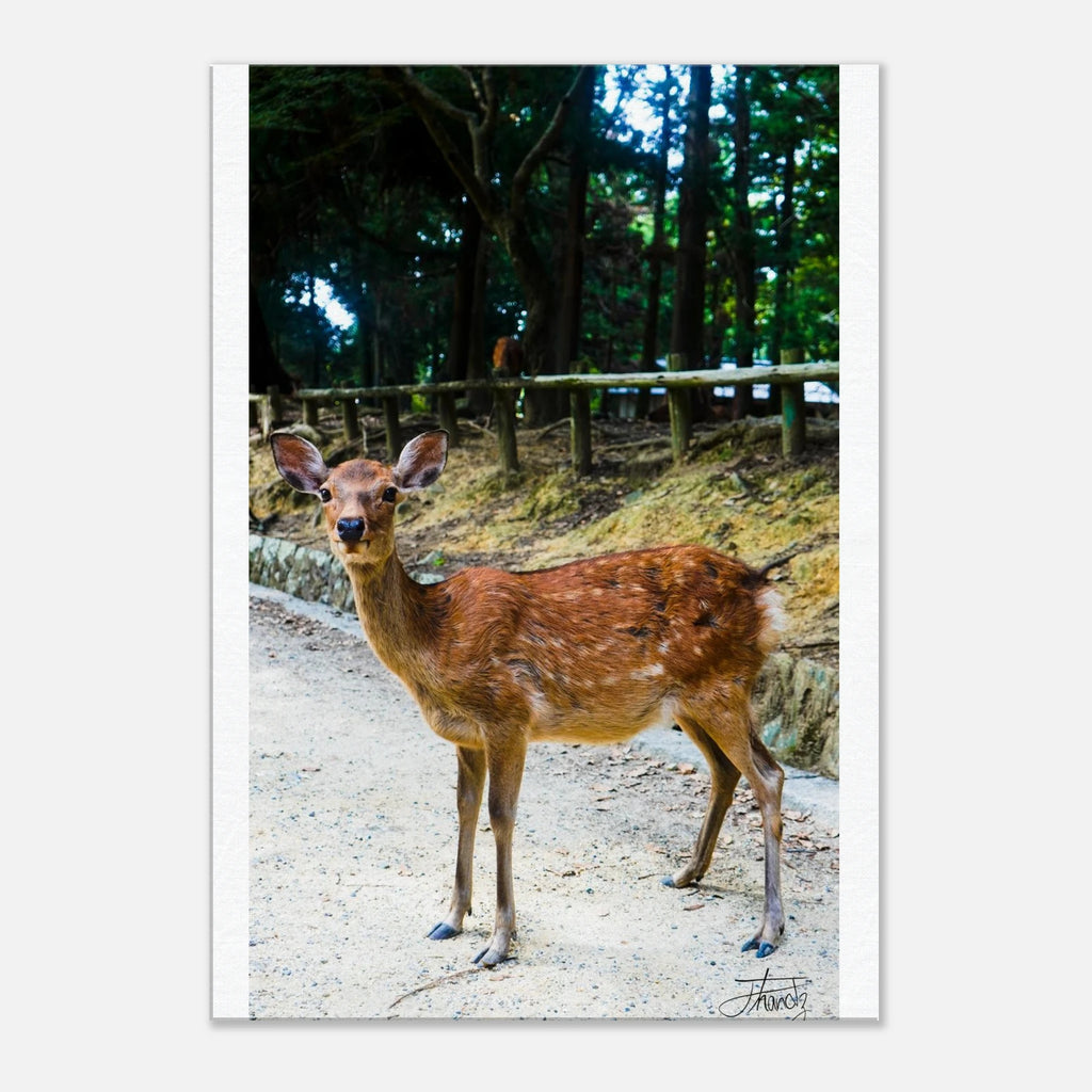 e4e9eb05-8719-415c-8305-2af94bdad77c