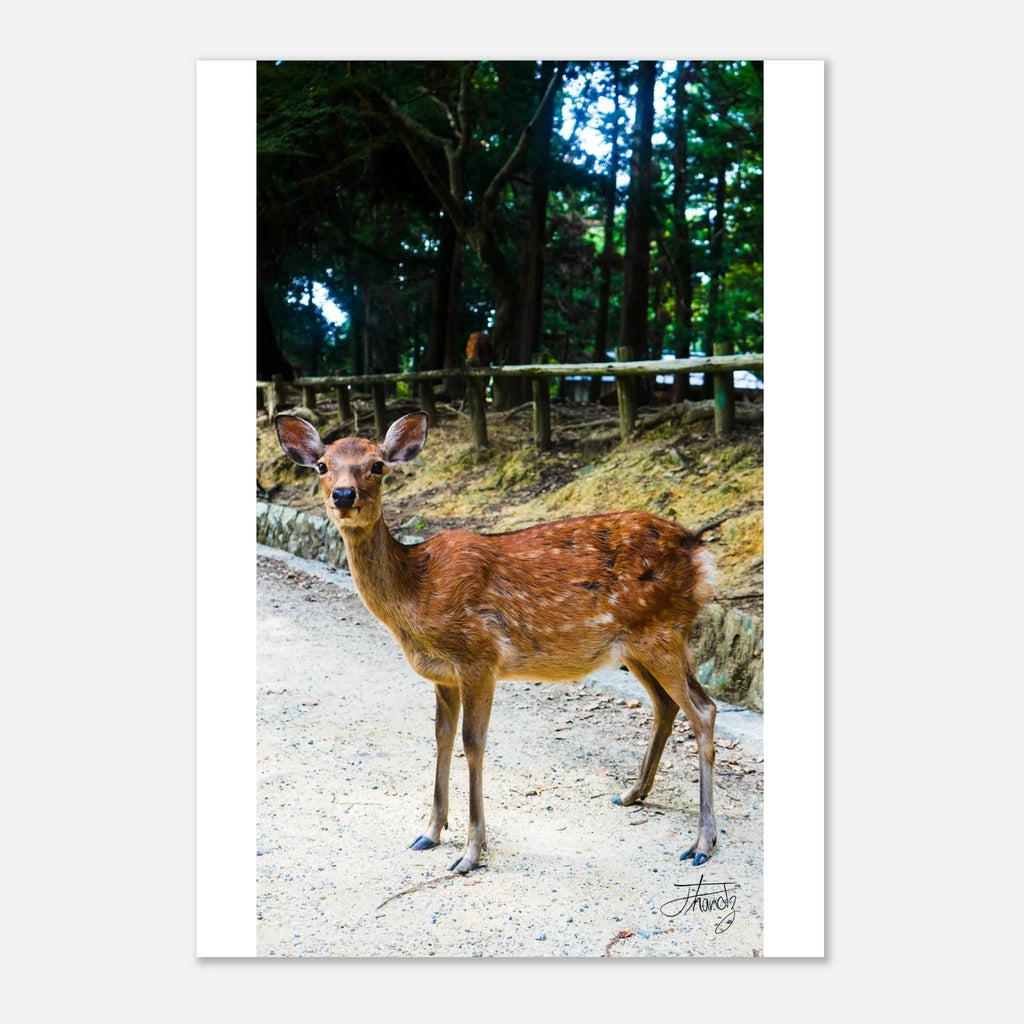 e6f872bc-f147-4ac8-a2f4-c4e857d8da76