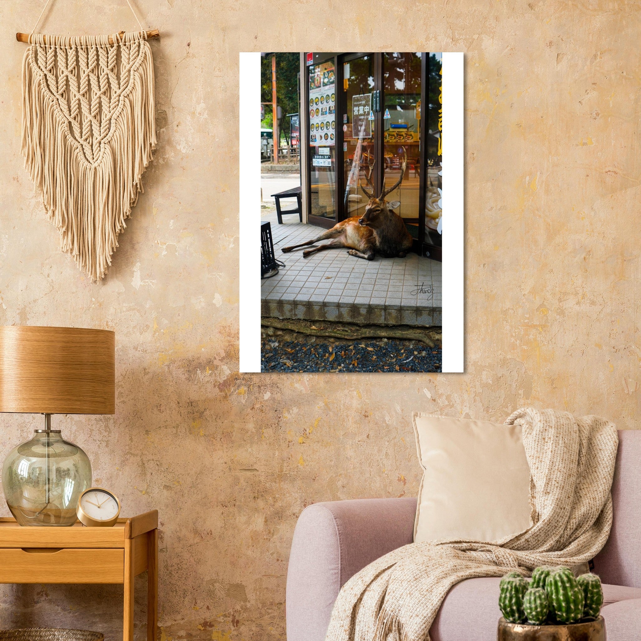 e70ca0b1-83d3-4d40-befc-75f127b4f560