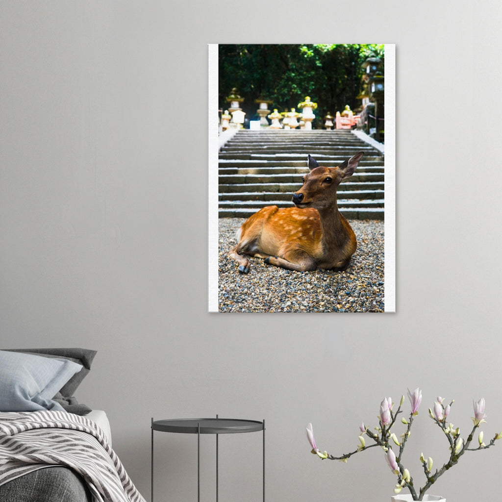 ee266cd6-a973-4e36-9e42-9f950d71593c