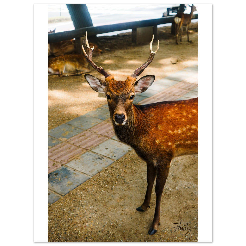 f0e4515b-2f4f-4624-9183-01203c3e3f5c