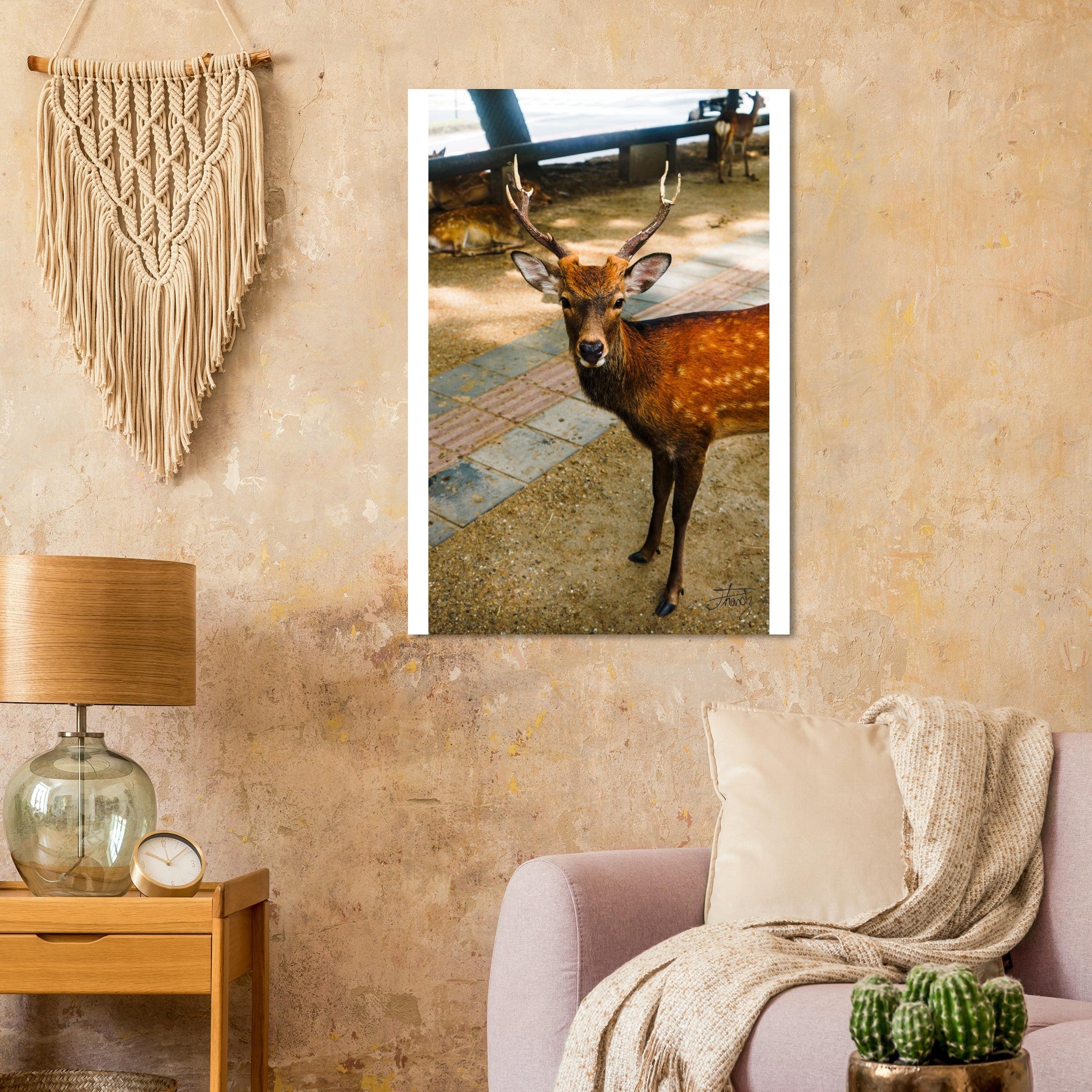 f1dfc298-da02-48db-a693-518dac00efad