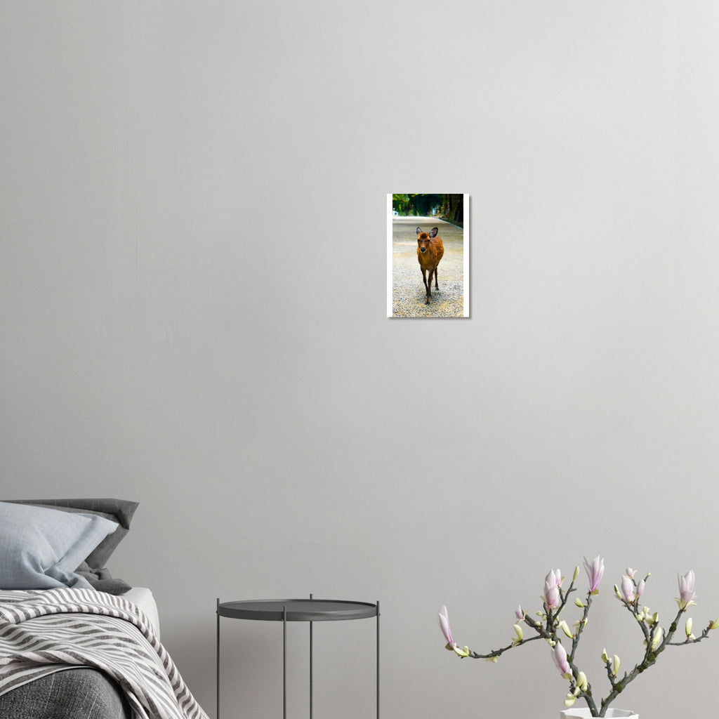 f454125e-3890-41b9-b6d8-8030981ebf8f