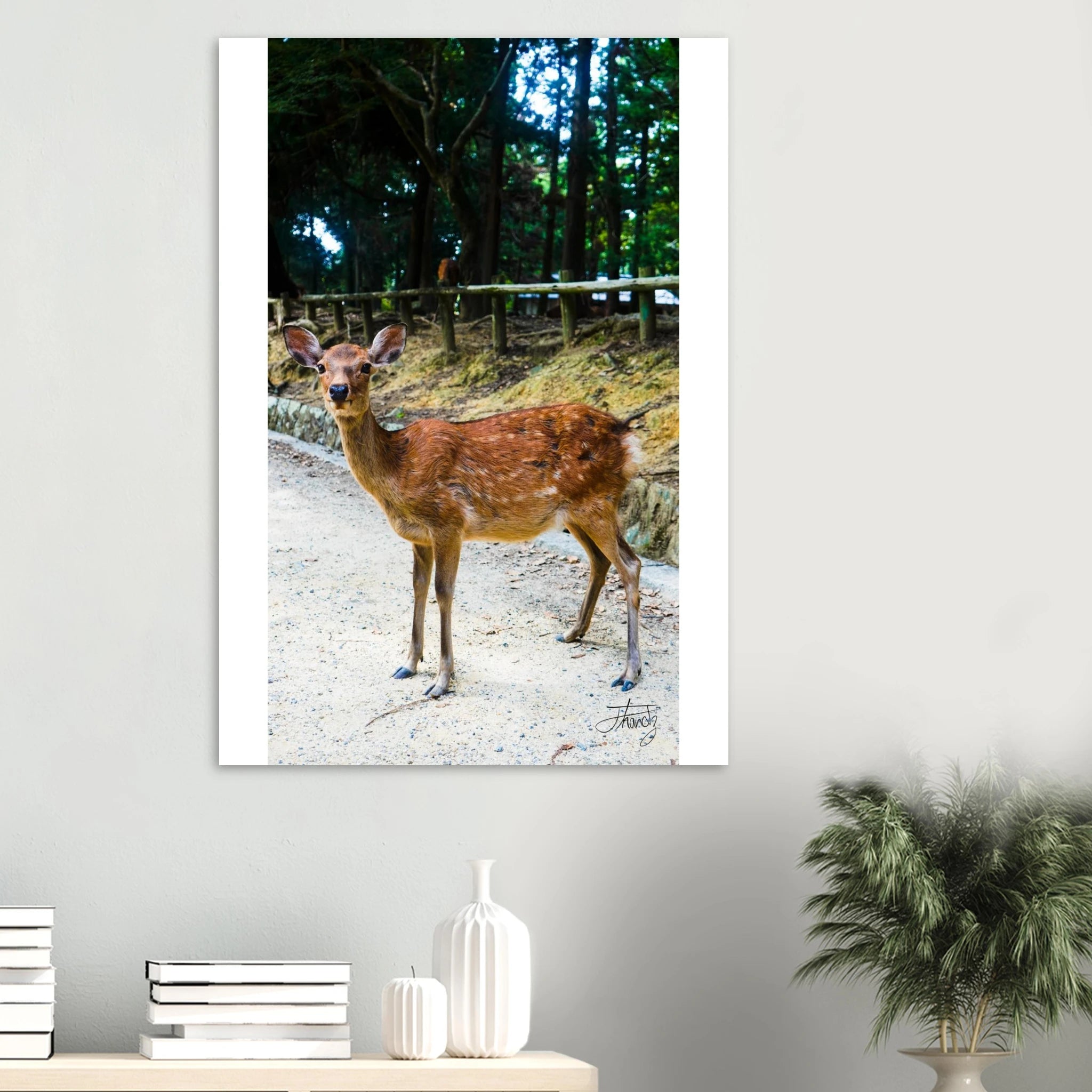 f7100325-7e0d-42af-83a8-5fcb6c4d1b55