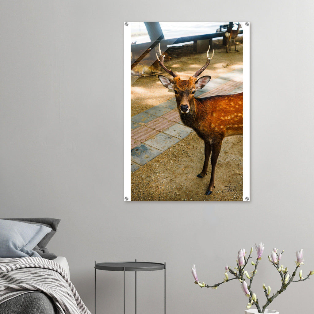 fb500958-448c-4943-be8b-755943e9995d