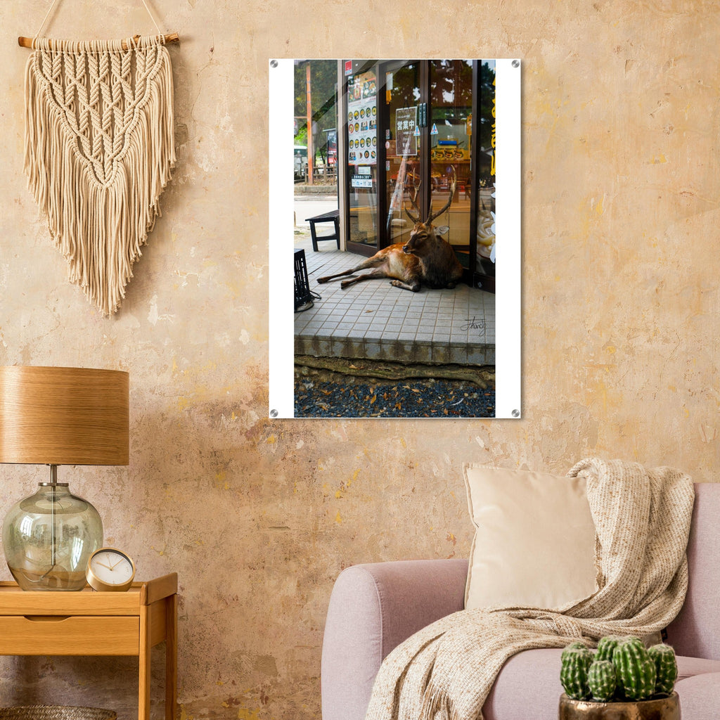 fbfb56b3-6e87-41d8-9237-4d8dc867ddb9