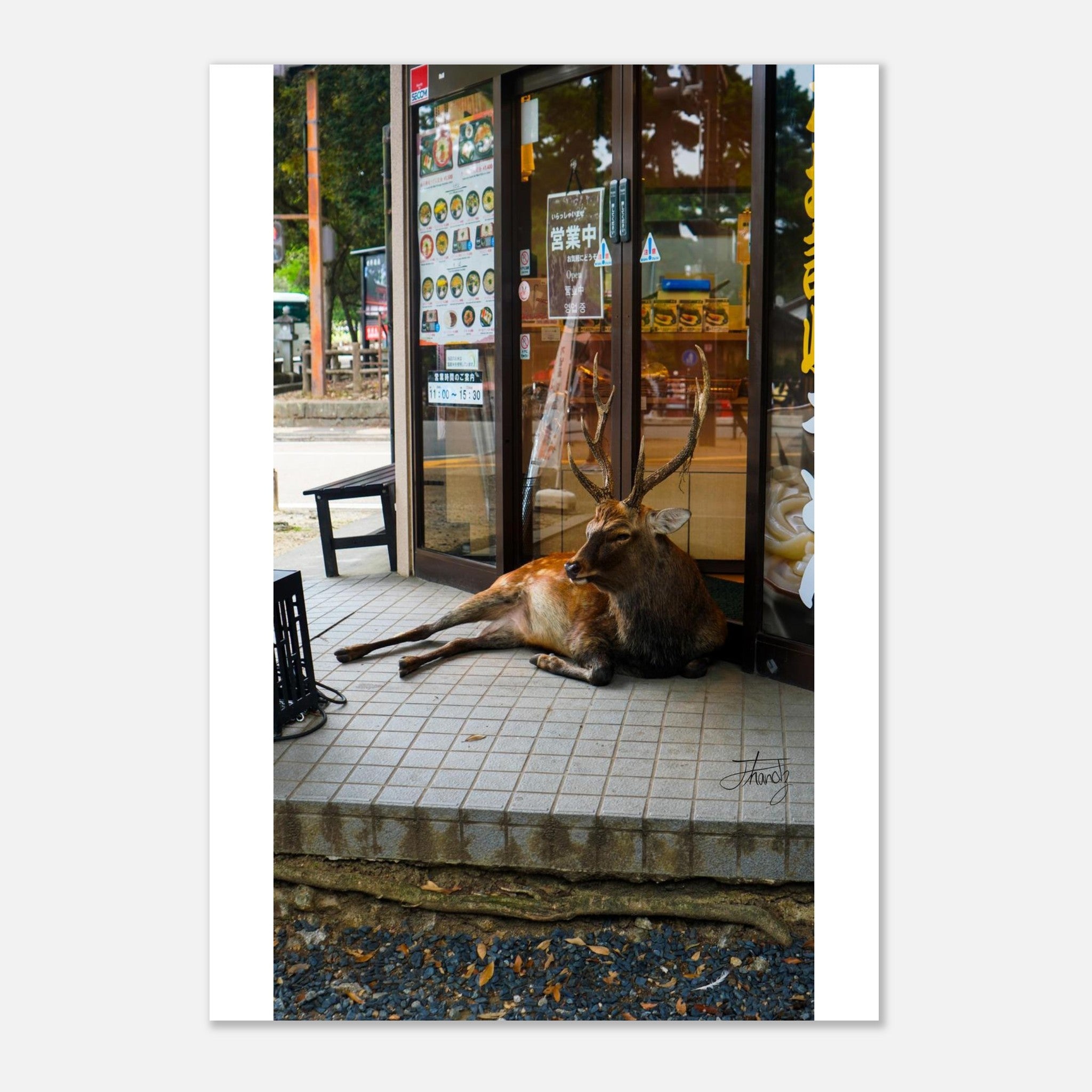 fce1bcd9-358a-441a-a52f-2a0341b5e14b