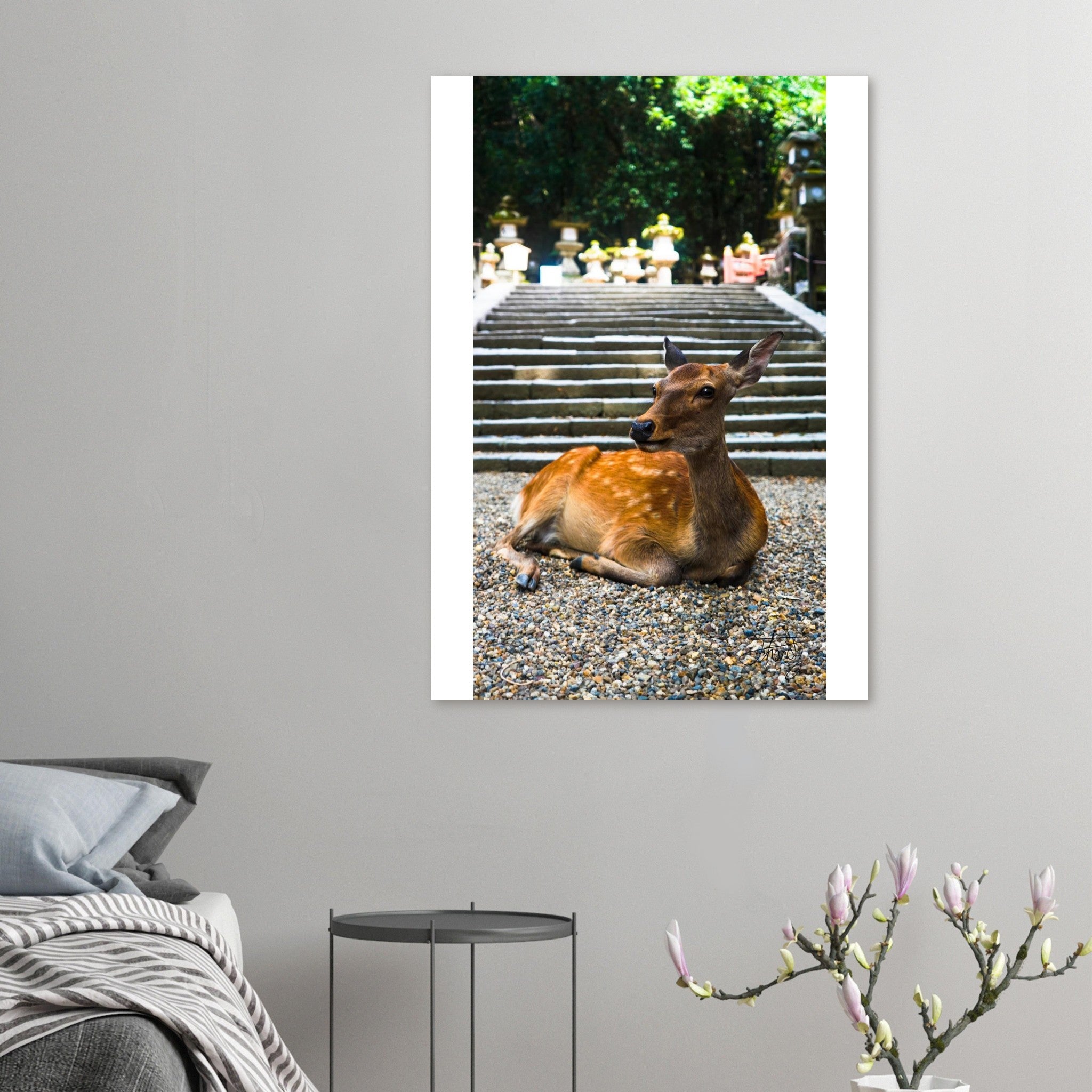 fd55b2c5-d3c4-413a-9117-d12213b97953